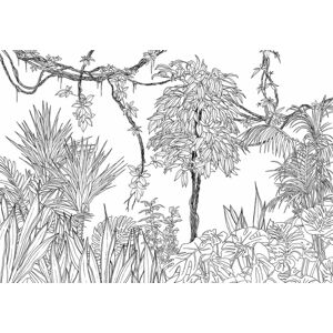Tarzan ihlette trópusi dzsungelt ábrázoló tapéta, 400x280 cm, fekete-fehér - LIANES - Butopêa