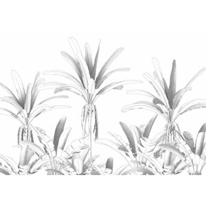 Egzotikus trópusi növényeket ábrázoló tapéta, 400x280 cm, fekete-fehér - PASSE SIMPLE - Butopêa