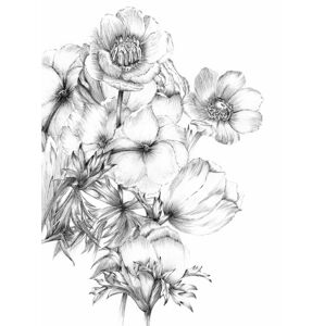 Virágokat ábrázoló tapéta, 184x248 cm, fekete-fehér - ANEMONES - Butopêa