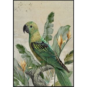 Vászon kép 70x100 cm, zöld papagáj - TROPIQUES - Butopêa