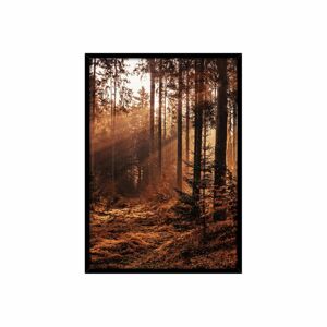 Keretezett poszter, szépia erdő, 50x70 cm, barna - SOUSBOIS - Butopêa